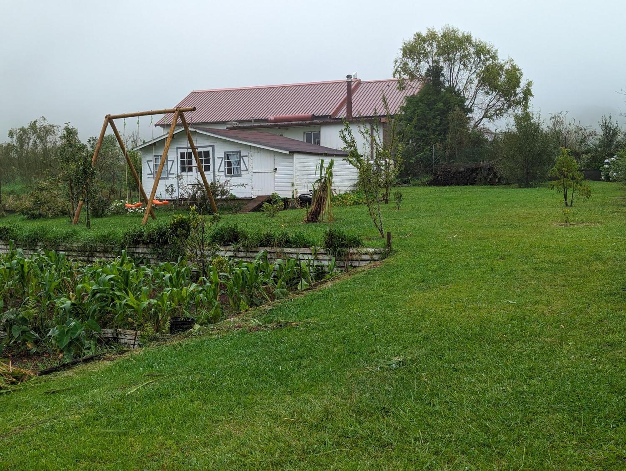 Villa Coeur Des Plaines La Plaine des Palmistes Eksteriør bilde
